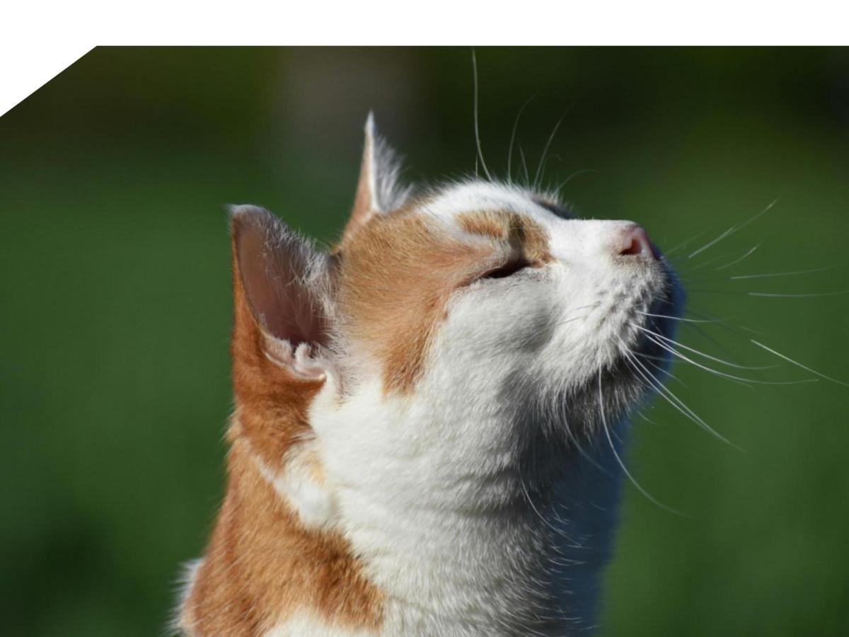 Breath Around The&nbsp;Nostrils