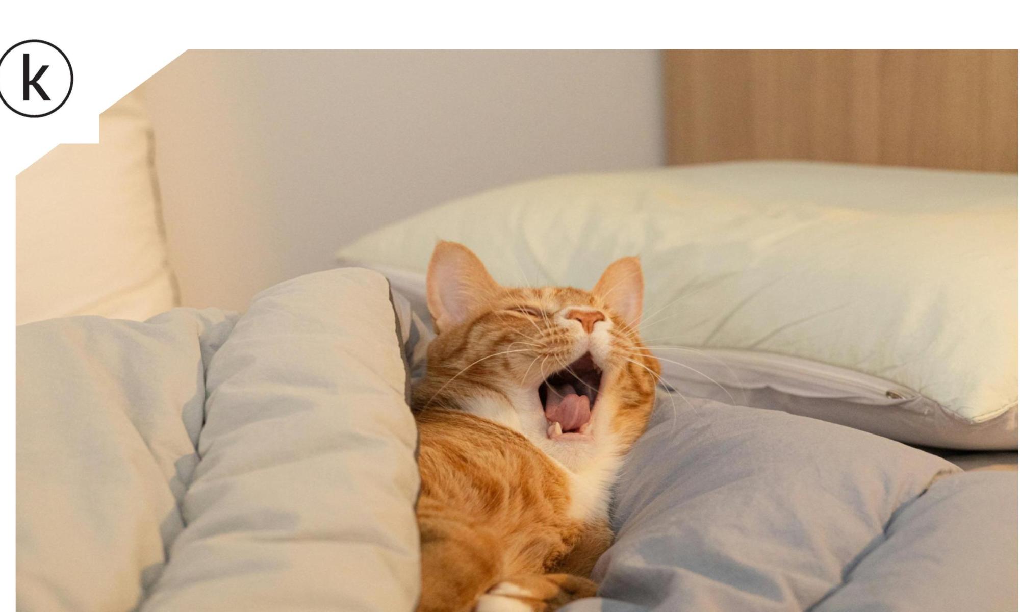 Remembering to Breathe