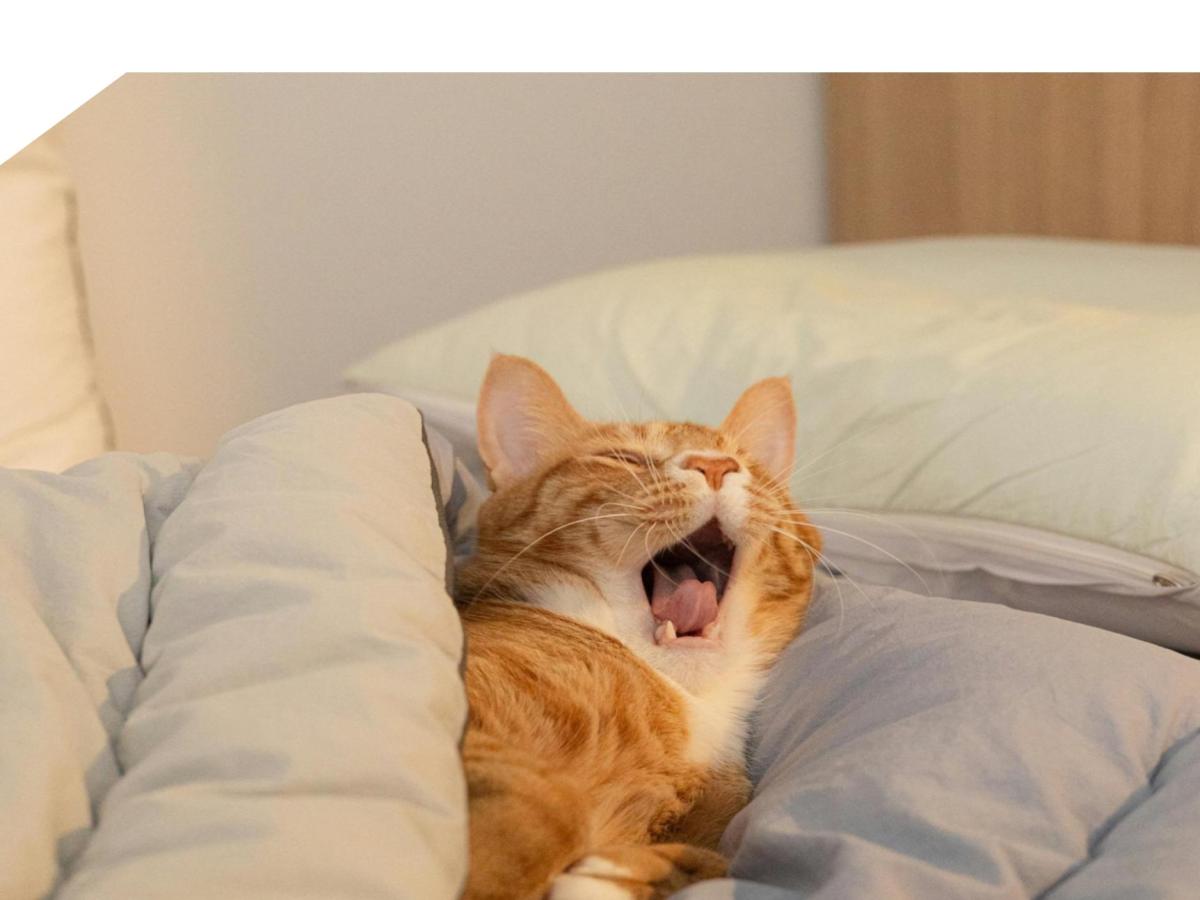 Remembering To Breathe